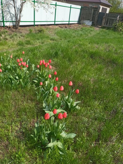 Продам земельный участок  10 соток