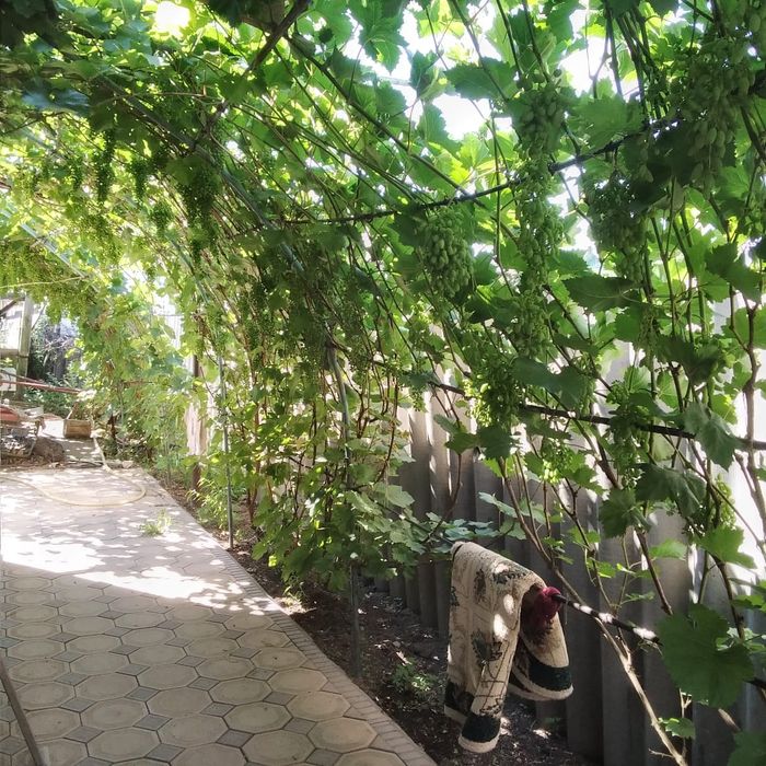 Продам 3 комн. добротный дом