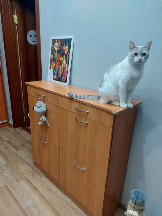 Обувница, самовывоз