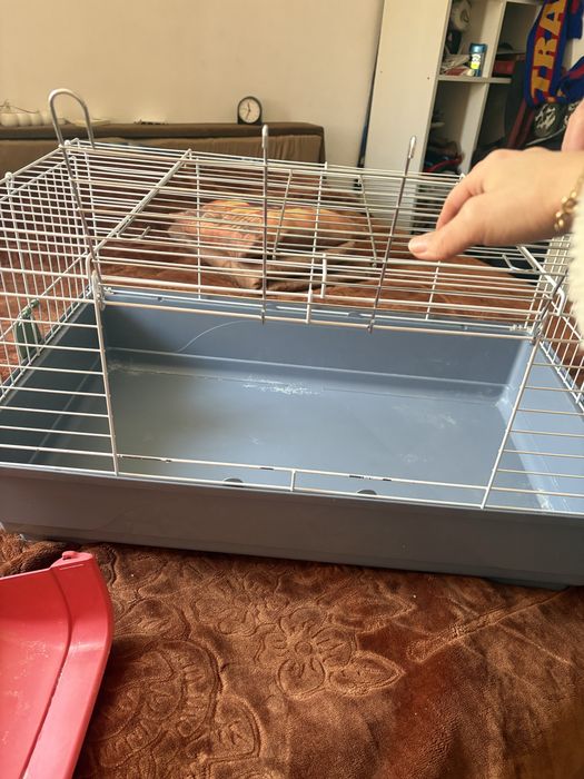 Cusca pentru iepuri/rozatoare