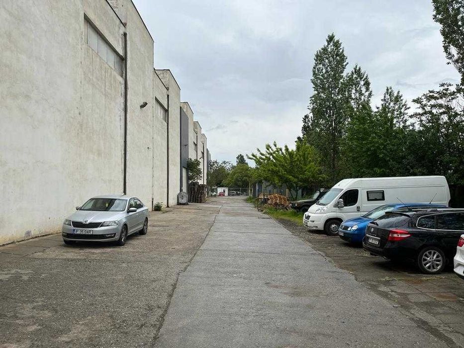 Hale de inchiriat Pantelimon