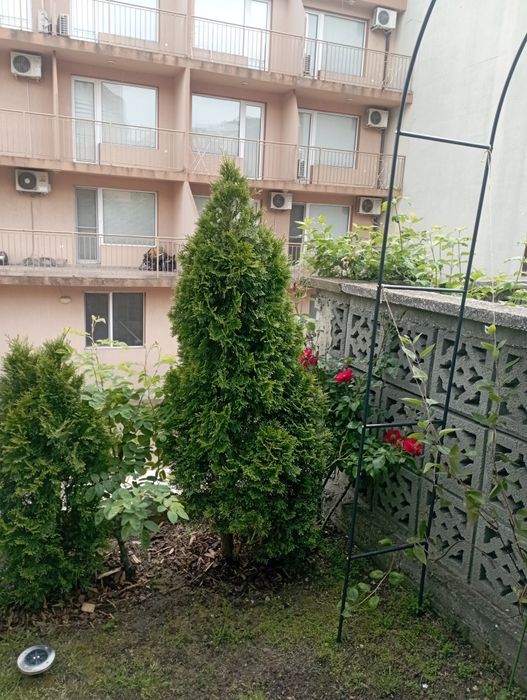 Дава се под наем Едностаен апартамент в Свети Влас - 55 кв.м за 51 € - Снимка #8