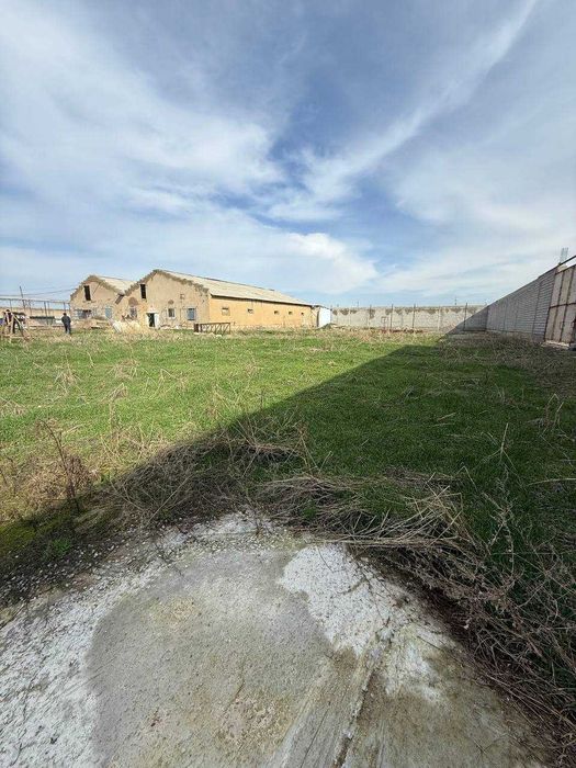 Сроно  аренда ферма в Яшнабаском районе Тузель