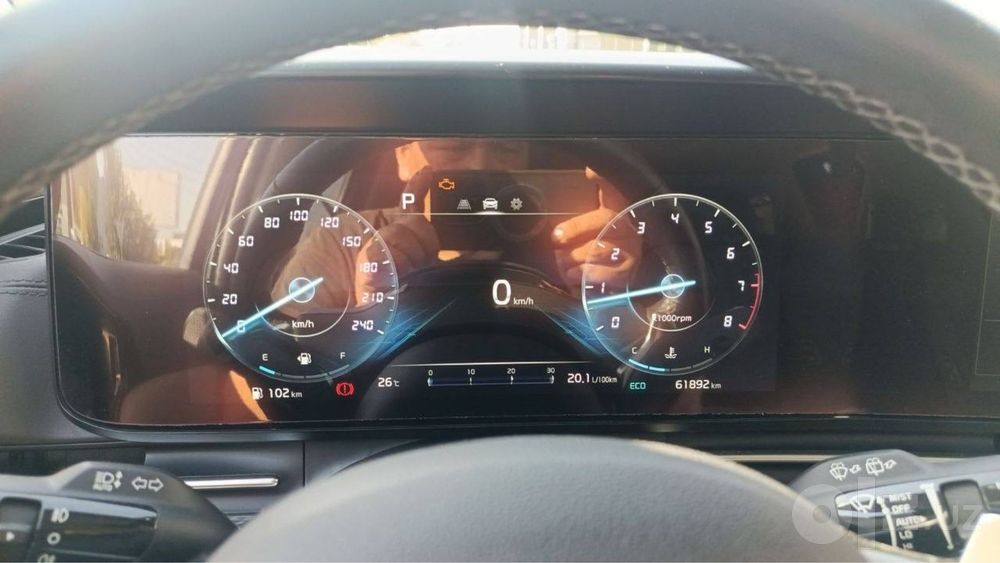 Kia Carnival Full 100% тоза