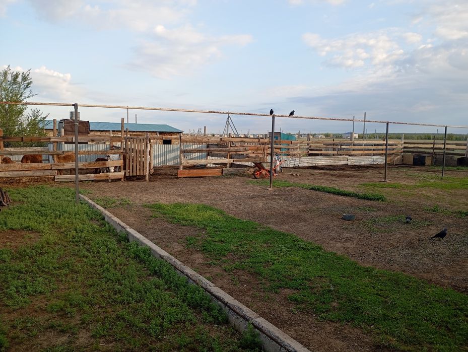 Продам дом с большим сараем срочно