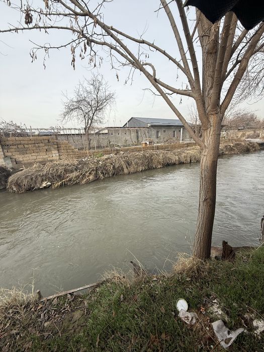 Учаска сотилати 6 сутих ер хисобида