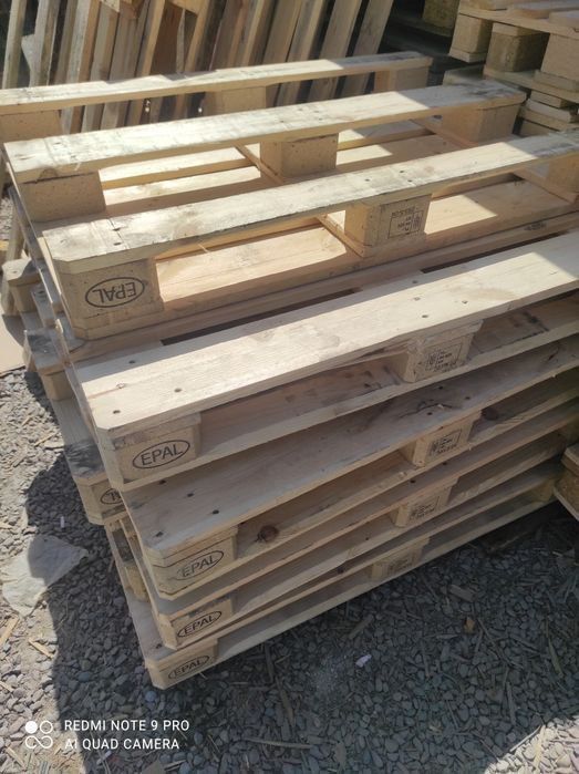 Падон оптом.Sifatli PADO LAR