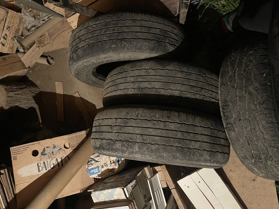 Жагдайы жаксы