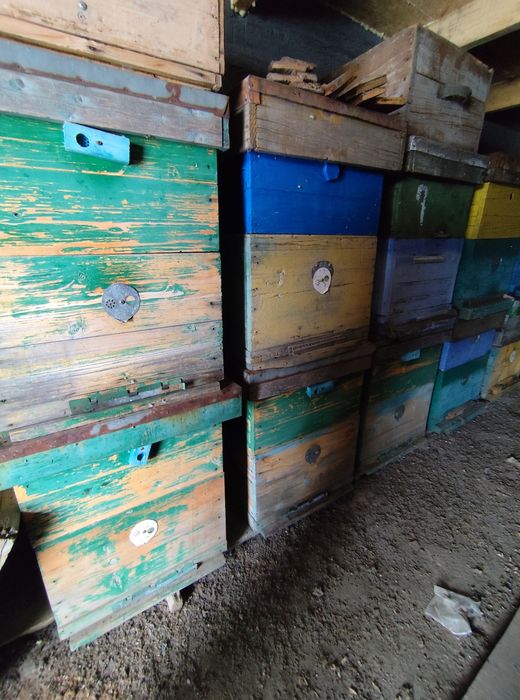 Продам ульи дадан!