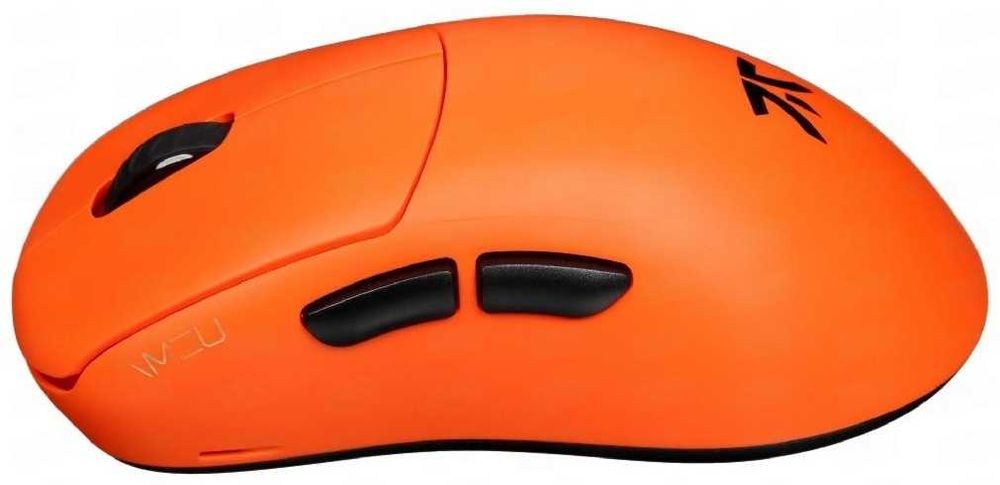 Lamzu Thorn Fnatic edition