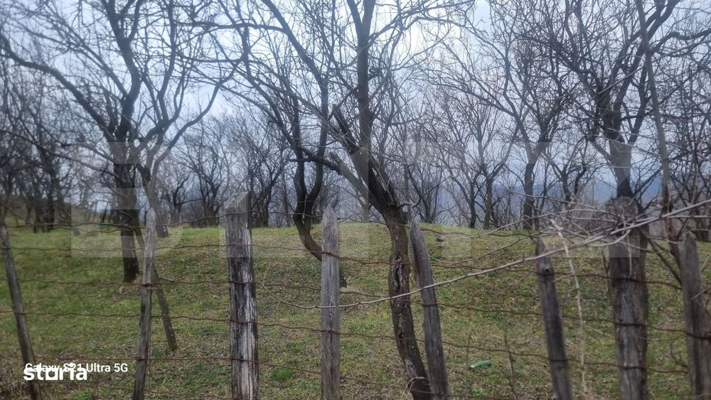 Teren Intravilan Vedere Panoramica 3781 Mp  La 2 Km De Manastirea Cras
