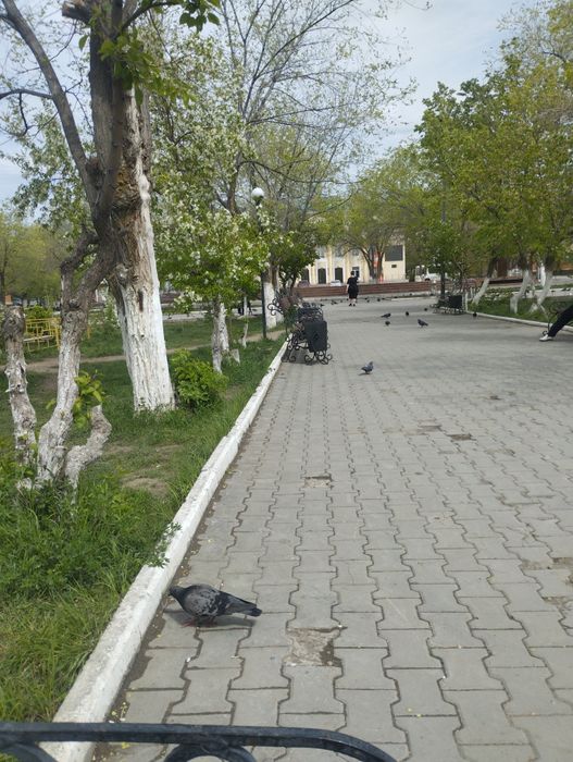 Продам квартиру 2 х комн
