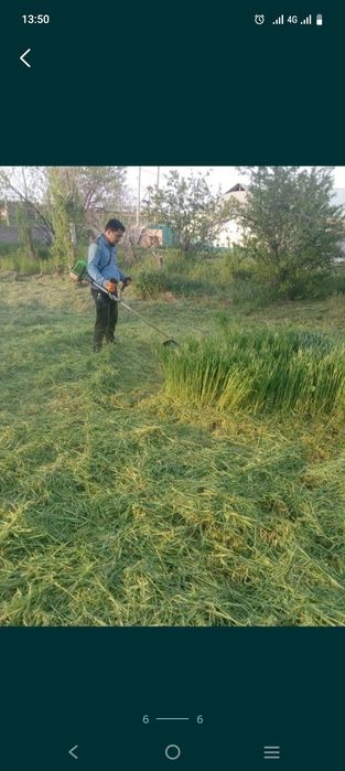 Шоп ору газон егу.