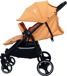 Коляска прогулочная для двойни/погодок Rant