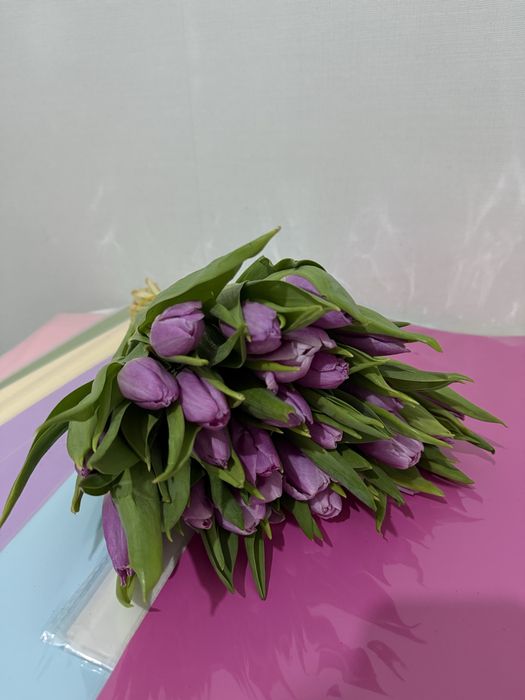 продам тюльпаны 850тг