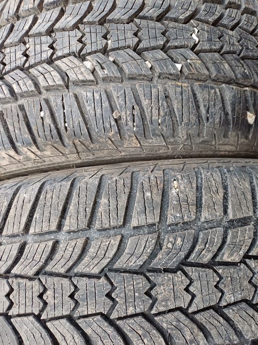 Гуми 195/55/15 Сава