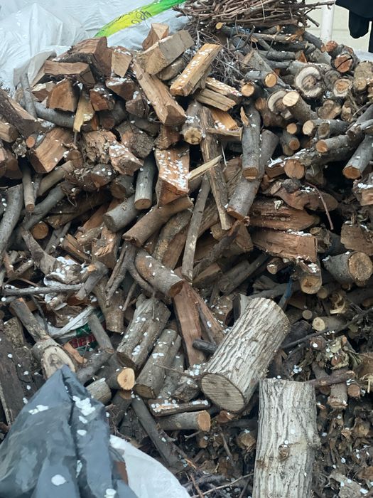 Otin bor quruq mevali darxtniki shoxlar va taxta ham bor