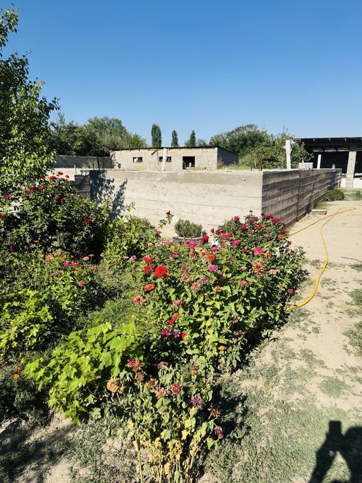 Продам дом срочно