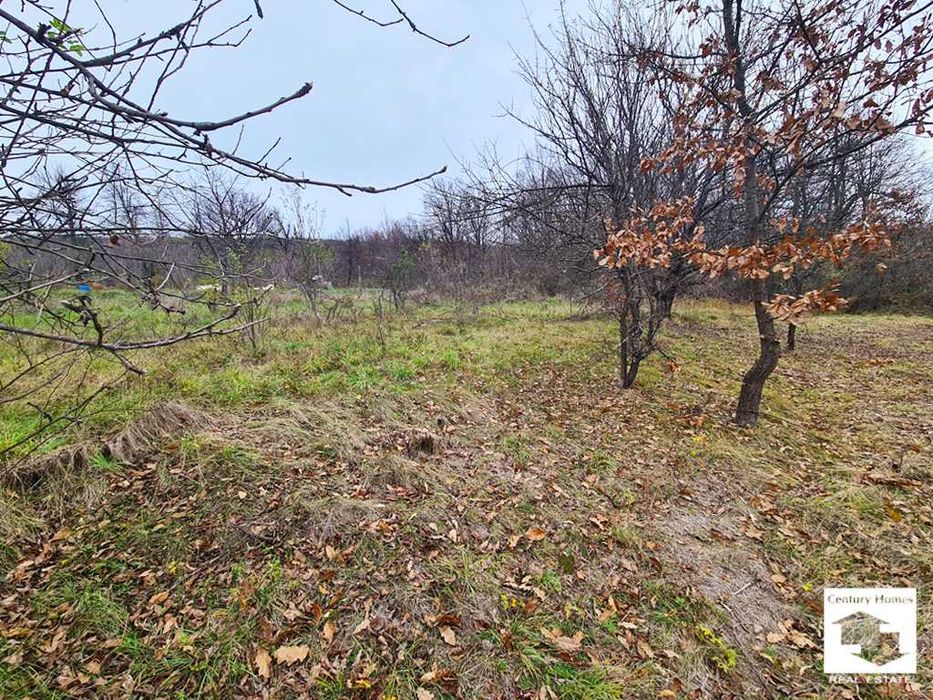 116252 Голям парцел с две къщи и плевня в с. Войнежа