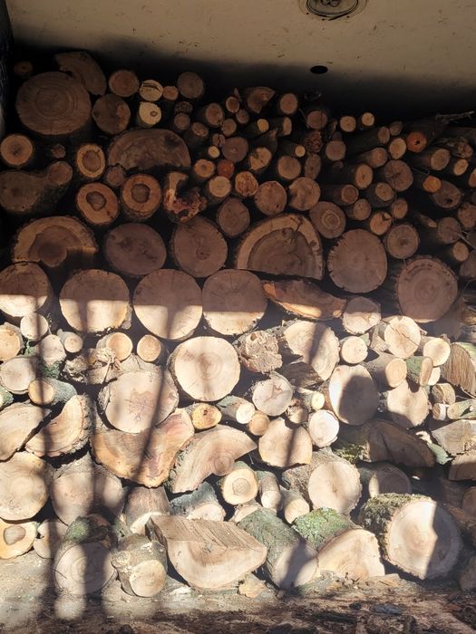 Lemne de foc uscate