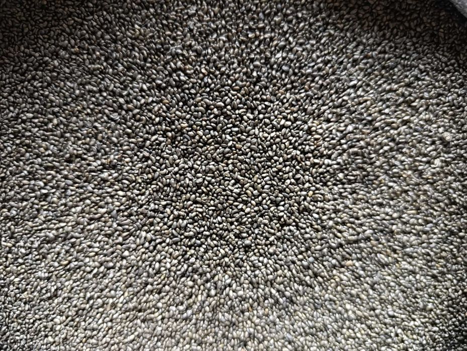 Семена люцерны. (Магниченные).