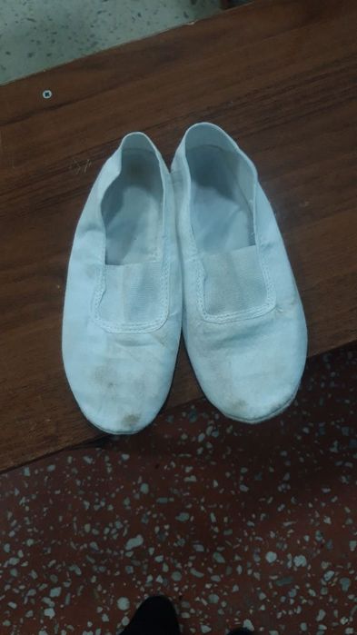 Гимнастическая обувь  ,чешки