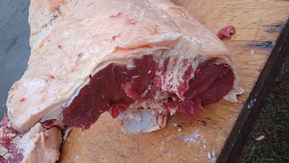 Мясо Говядина ,қашар достовка бесплотна