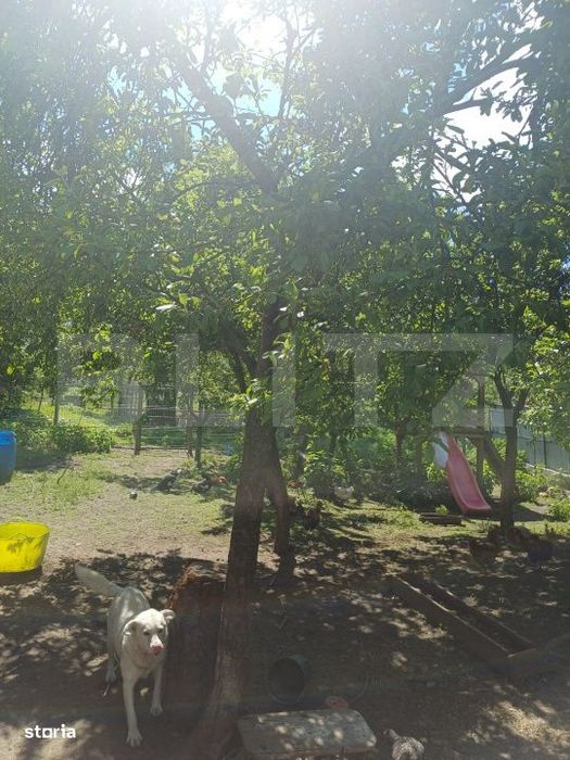 Casa de locuit si spatiu comercial, teren 7300 mp, Hreatca, com. Vultu
