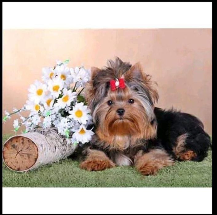 Диамантени гоблени