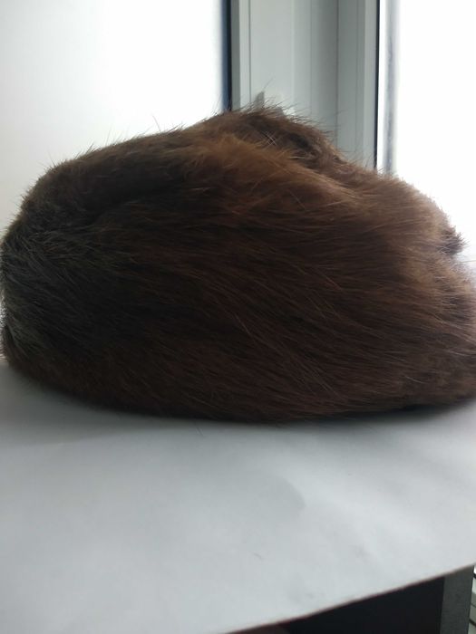 Toca noua nepurtata nurcă/nutrie