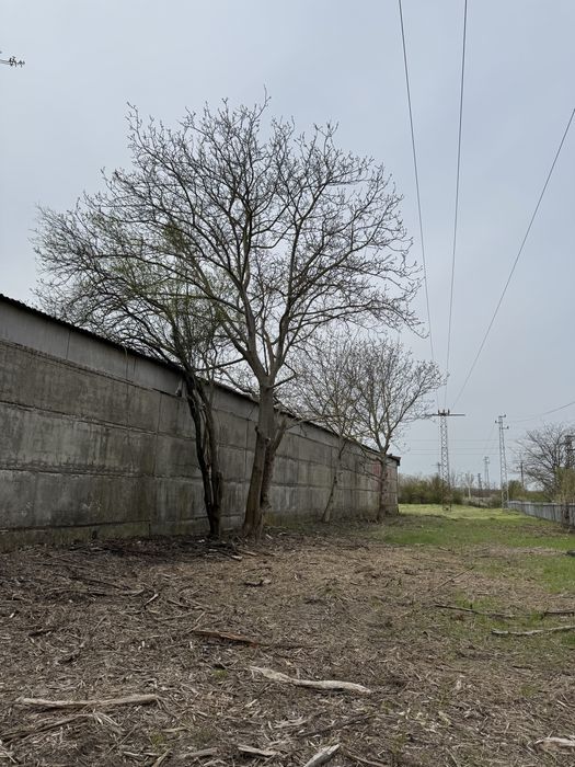 Кастрене и Събаряне на Опасни Дървета