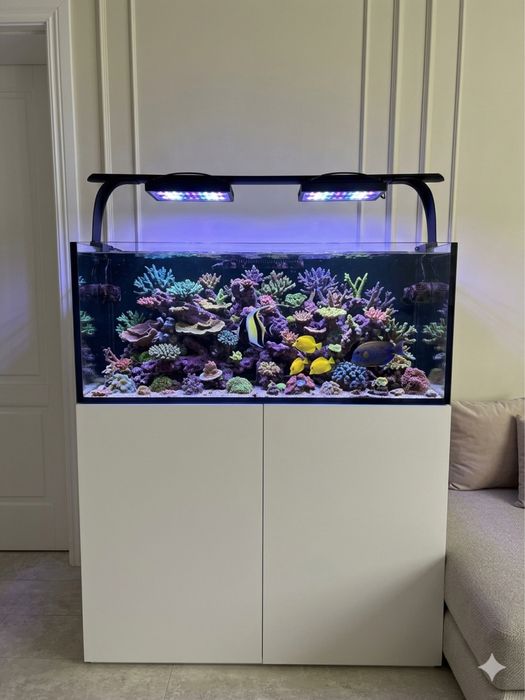 Morskoy akvarium