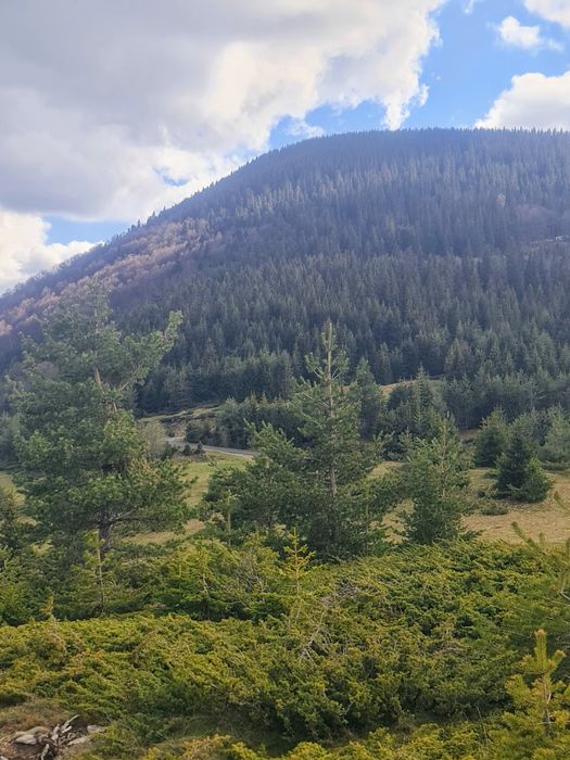 Продава се Земеделски имот в с. Давидково, Област Смолян -  кв.м за 15000 €/дка - Снимка #1