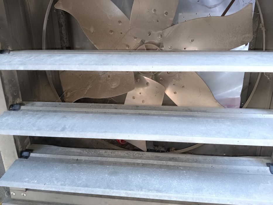 Вытяжные промышленные вентиляторы: