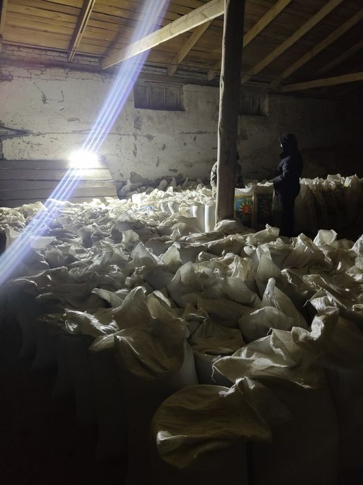 Продам : Пшеницу , овёс, ячмень, сечку пшеницы