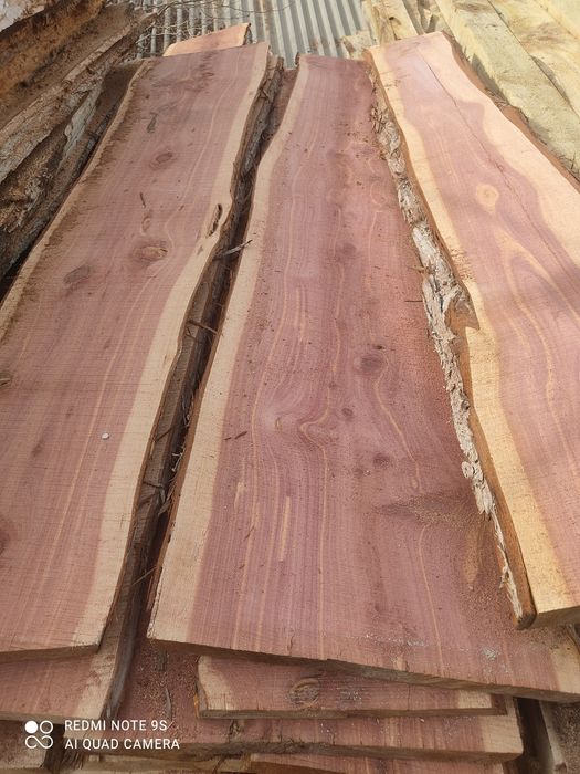 Saunalar uchun qizil yogoch 3.5 tilingan holatingan100%quruq