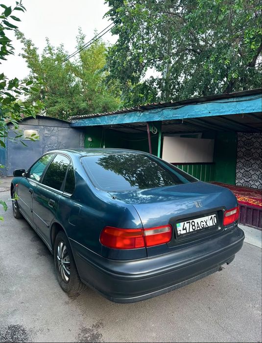 Продам Honda Accord V