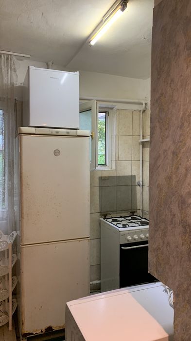 Tătăraș închiriere 300