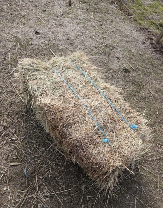 vand baloti de fan paie si otava