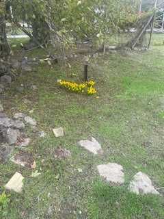 Продава се Промишлена сграда в с. Аврен, Област Варна - 320 кв.м за 469 €/кв.м - Снимка #9