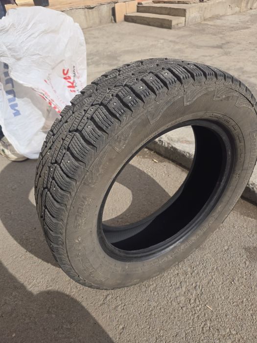 Калоса крассавер