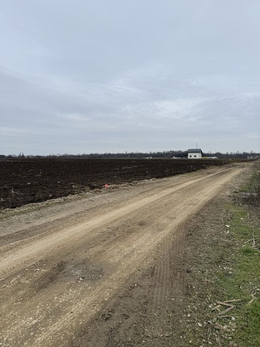 Suprafata 5000 mp sau 2500 mp De vinzare Sau Inchiriere 1Euro Mp