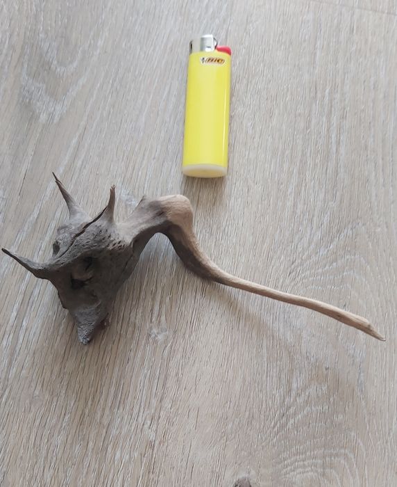 Коряги аквариумные