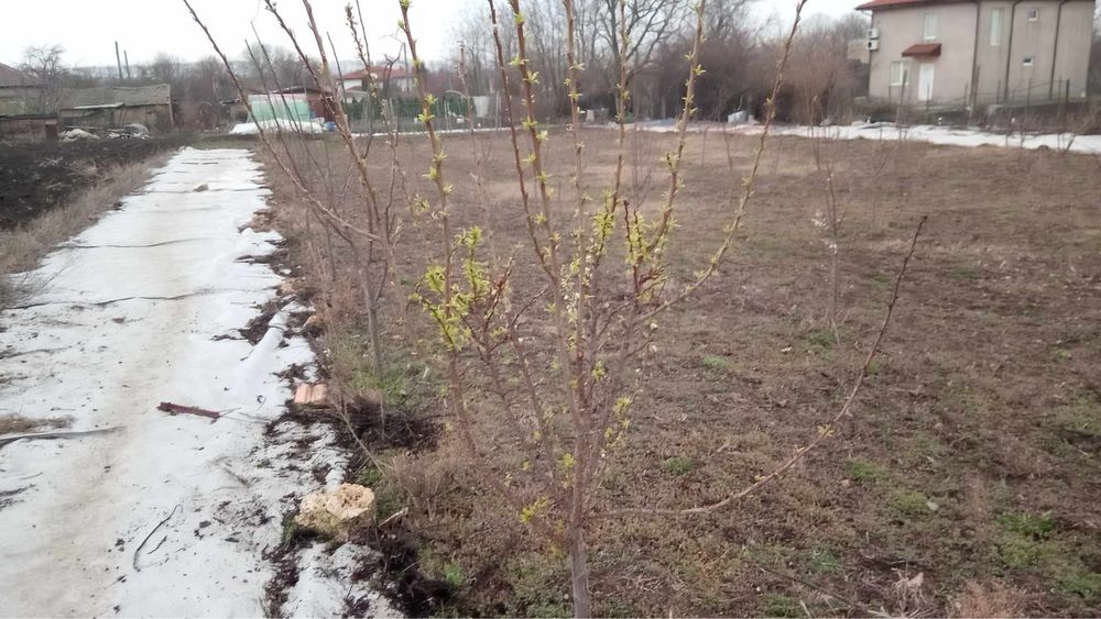 Винилна мрежа(МЕШ), приложима в строителството и селското стопанство.