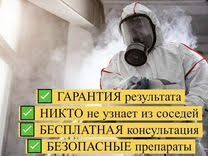 Dezinfeksiya dizinfeksiya klapa klopa tarakan 24/7