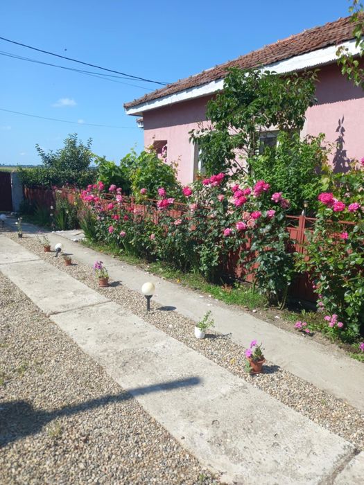 Vand Casa sat Greci comuna Osica de Sus