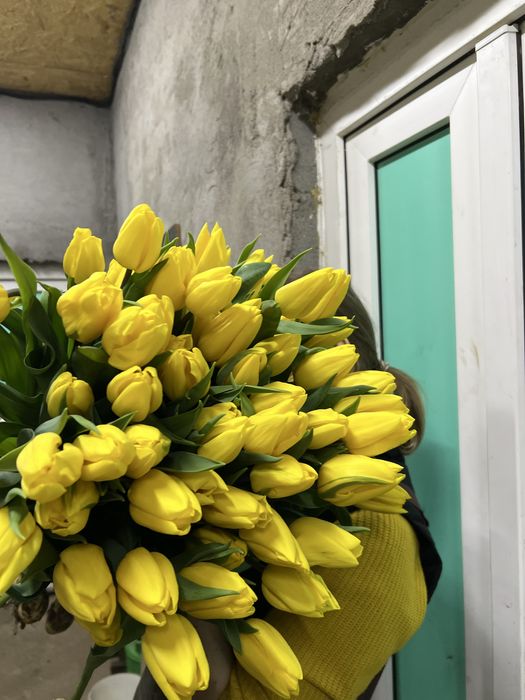 Тюльпаны оптом к 8 марта