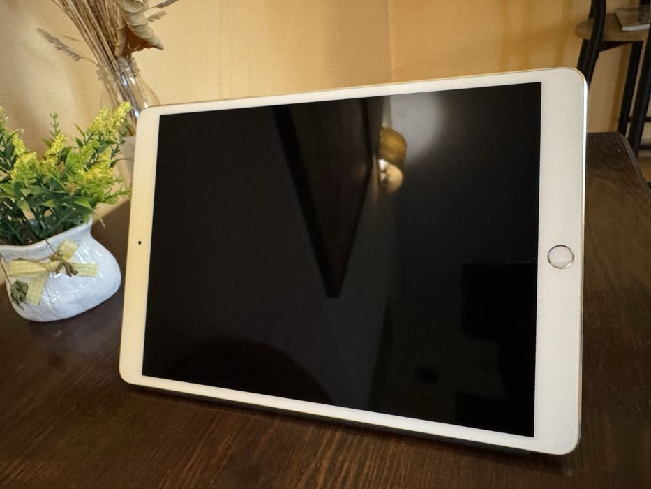 ipad pro 10,5 siver