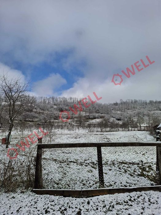 De vânzare casă familială Gogani