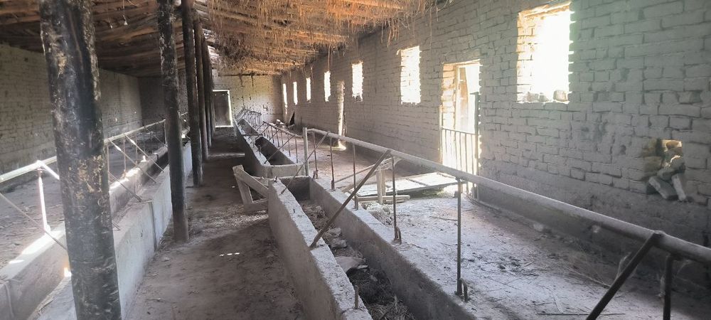 Katta hovli srochni sotiladi